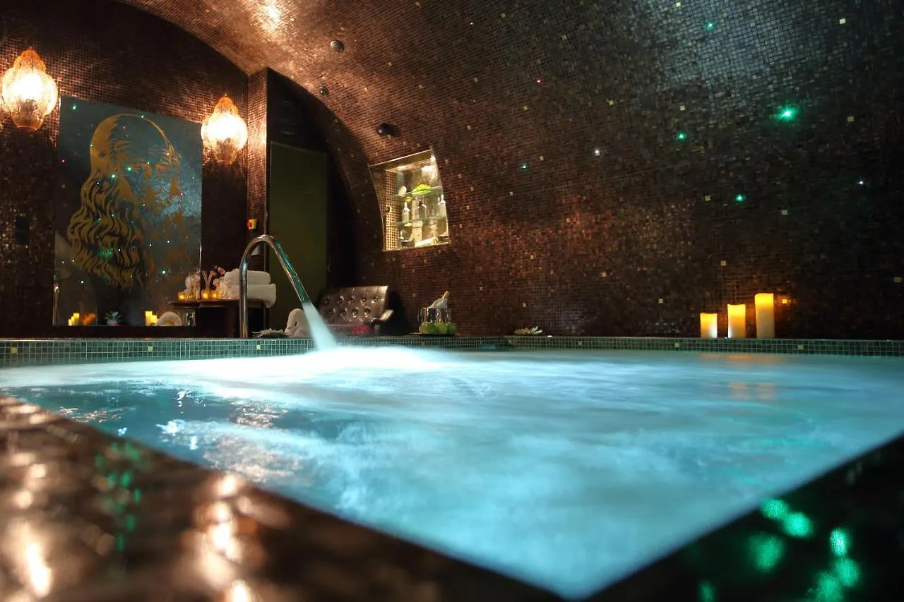 Da Vinci&spa 4*